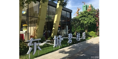 东城碧桂园