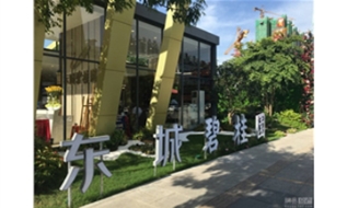 东城碧桂园