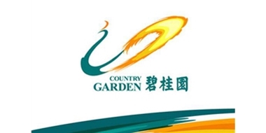 碧桂园集团