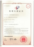 发明专利
